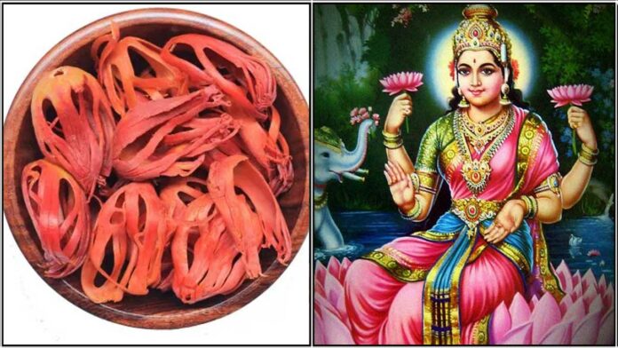 mahalashmi1