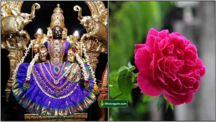 mahalashmi3