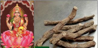 mahalashmi7