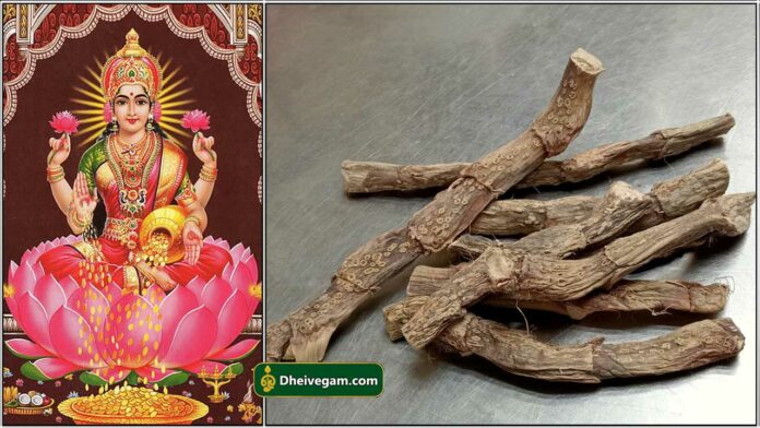mahalashmi7