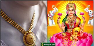 mahalashmi8