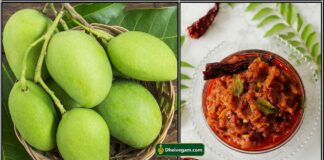 mango thokku