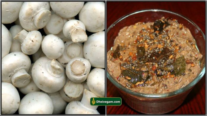mushroom chutney