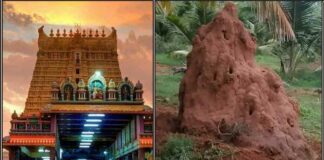 கர்ம வினை நீங்க புற்று மண் பரிகாரம் kovil puthu