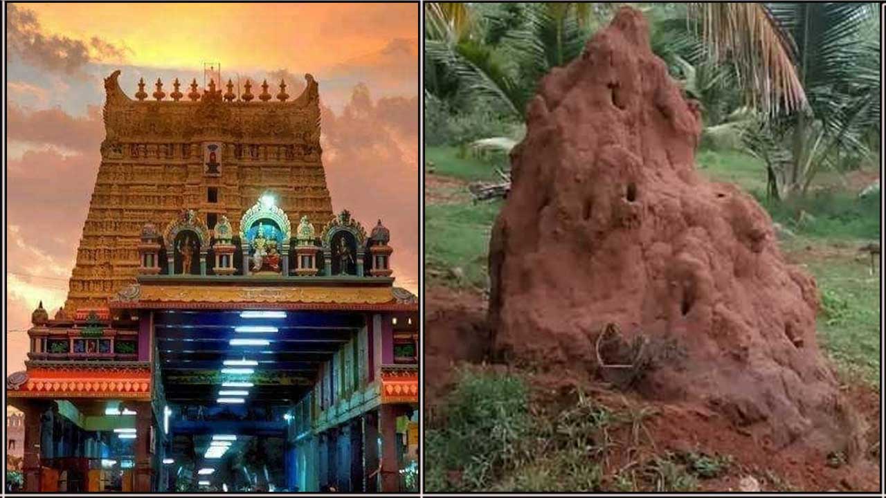 kovil puthu