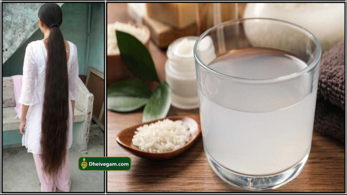 rice water long hair