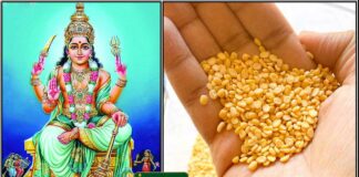 sevvai thuvarai