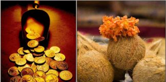 gold coin cocount