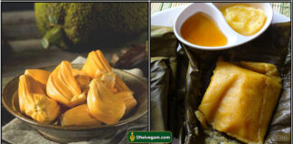 jack fruit idly