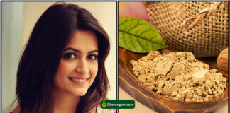 kadukkai podi