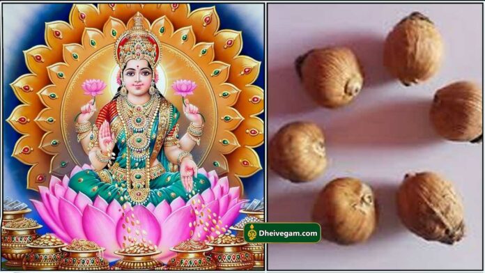 mahalashmi9