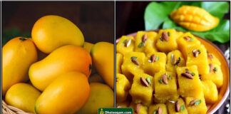 mango burfi