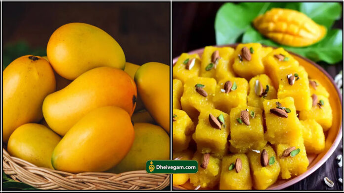 mango burfi