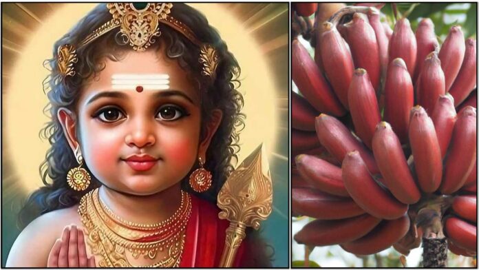 murugan2