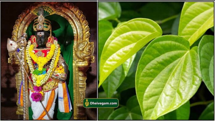 murugan8