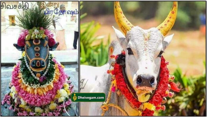 nandhi