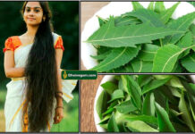 neem and curry leaves
