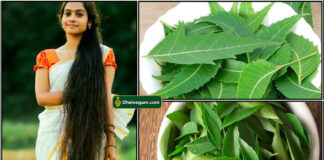 neem and curry leaves
