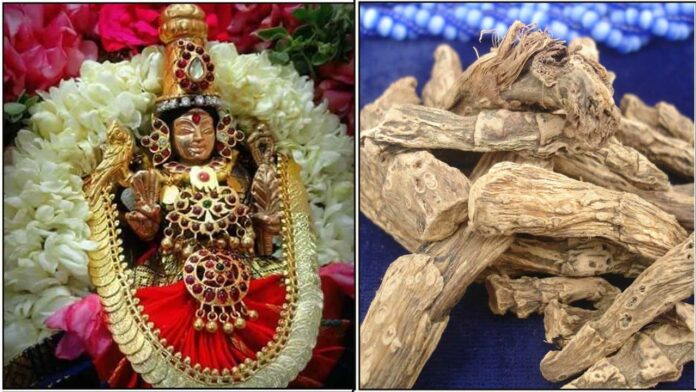 mahalakshmi vasambhu