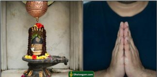 sivan11