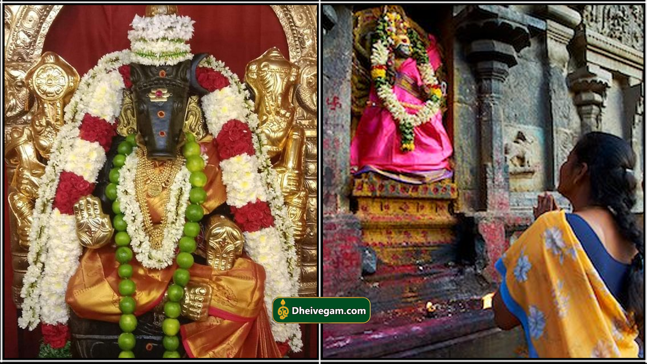 varahi valipadu