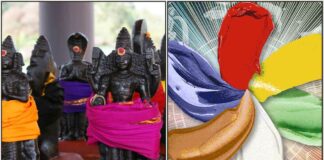 navagiram colours