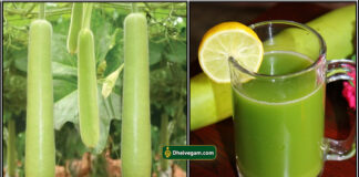bottle gourd juice