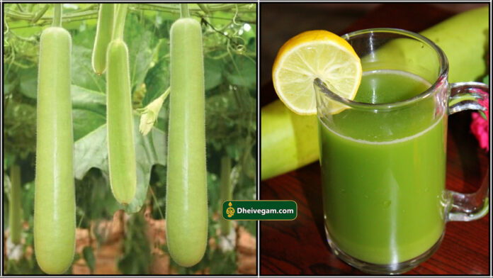 bottle gourd juice