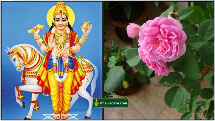 chandran