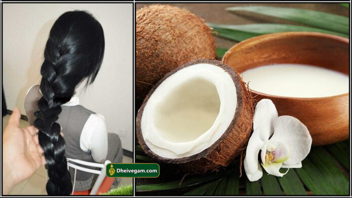 coconut milk for hair