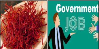saffron govt job
