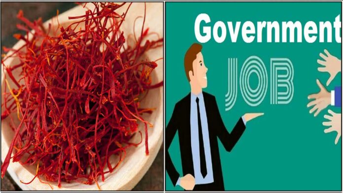 saffron govt job