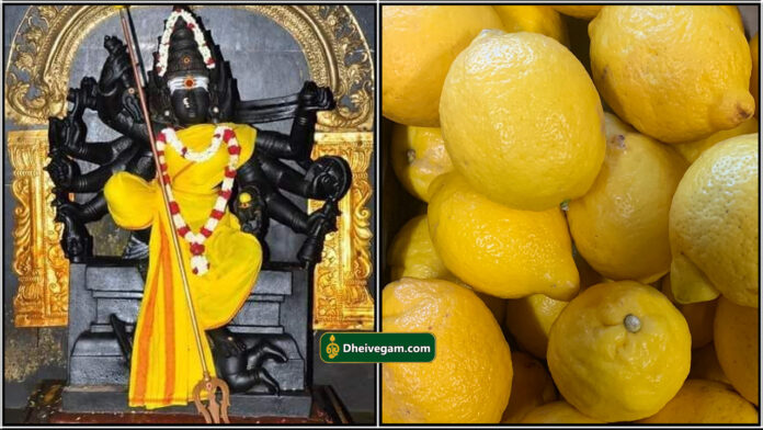 kaliamman lemon