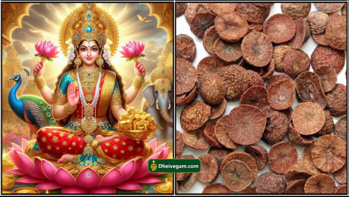 mahalakshmi kottaipakku