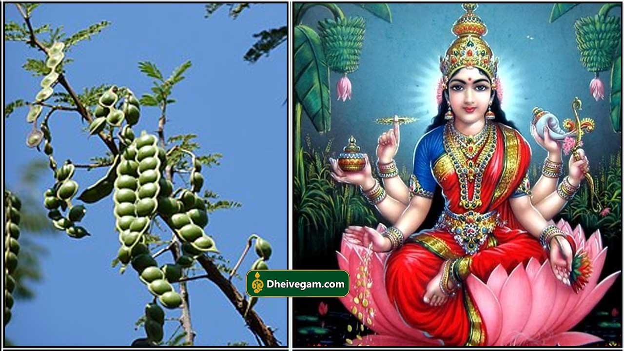 mahalashmi