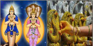 தடங்கல்களைப் போக்கும் நாகர் வழிபாடு ragu kedhu naga sillai