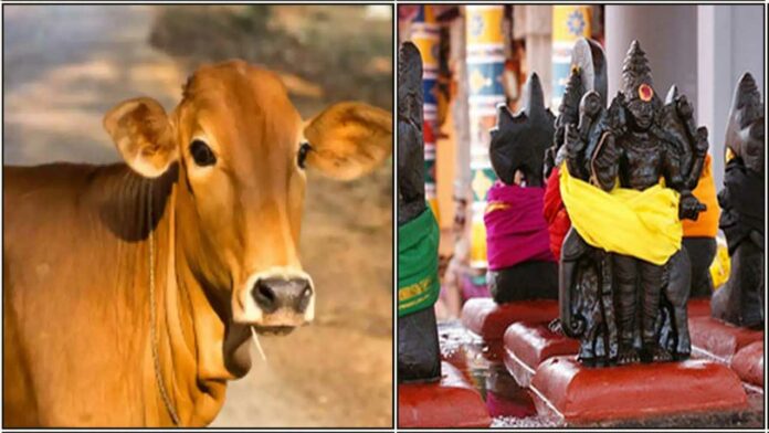 cow navagraham