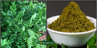 பூண்டு கருவேப்பிலை பொடி செய்முறை poondu karuveppilai podi