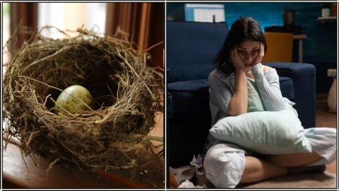 nest sad person