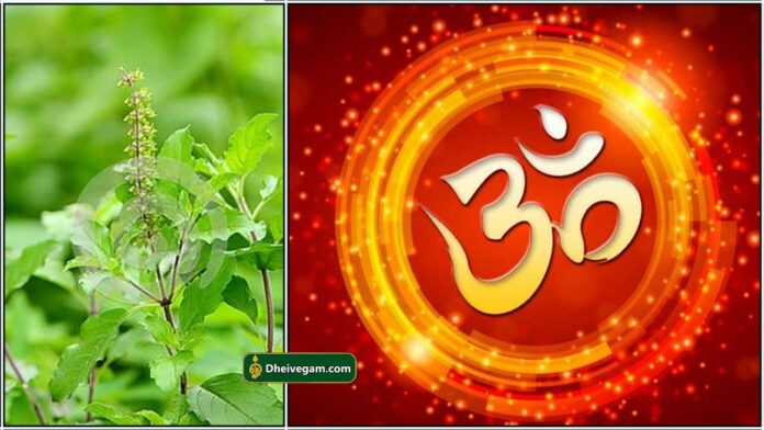 thulasi