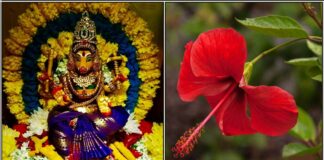 varahi flower