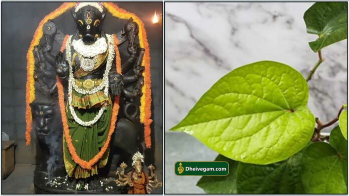 varahi2