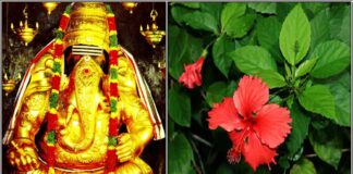 vinayagar sembaruthi