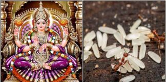 mahalakshmi ant with rice