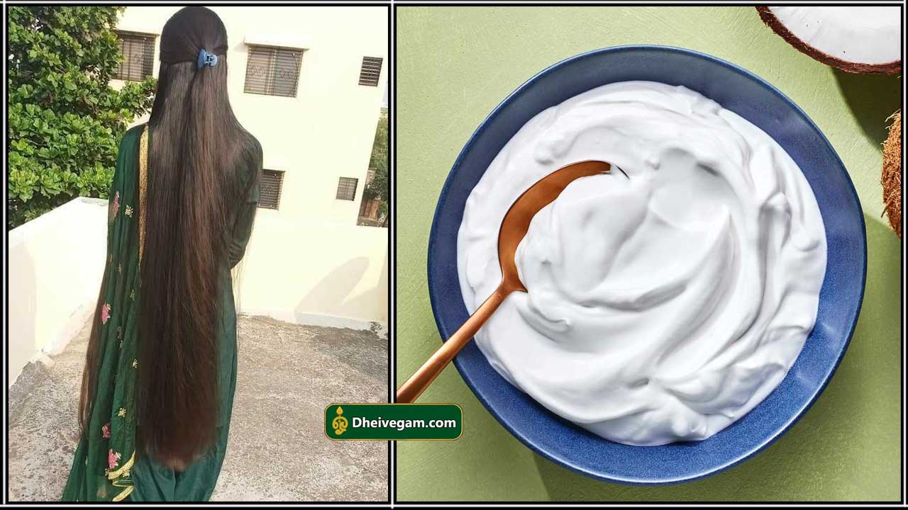 coconut milk cream