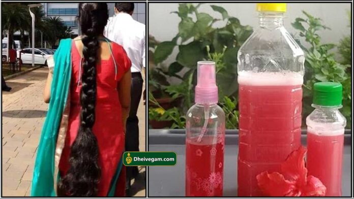 hibiscus benefits