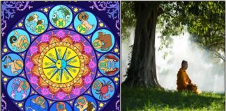 natchathiram tree meditation