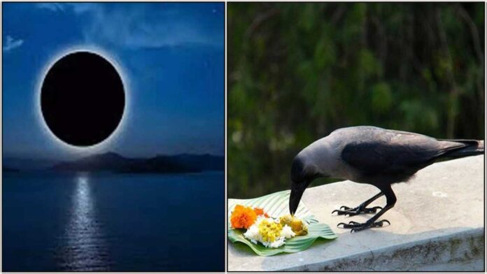 moon crow food