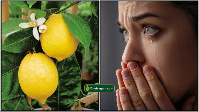 lemon pariharam
