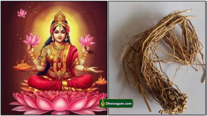 mahalshmi1